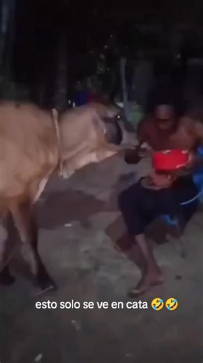 #viral #risastiktok