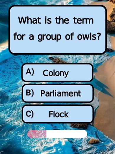 can you get 6/6?#quiz #quiztime #quizgame #quizchallenge #quizshow #quizz #quizzes #quizfun #animal #animalquiz #animalfacts #braintest #brainteaser #generalknowledge #generalknowledgequiz #trivia #triviachallenge #doyouknow #learn #learning #learnontiktok #knowledge #information #viral #grow #uk