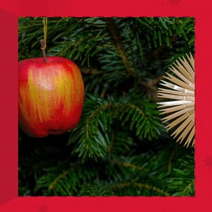 252 reactions · 34 shares | 17: Did you know that in the old days in Denmark, people decorated their Christmas tree with stuff like dried figs, apples and raisins? Everything from nuts and cinnamon sticks to mandarins and pomegranate were used to decorate the homes for Christmas  And off cause the good old classic: clove-studded pomander balls. If you have a Christmas tree, how do you decorate it? | Denmark.dk | Facebook