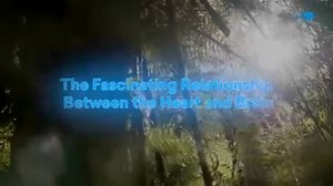 5.4K views · 110 reactions | The relationship between the heart and...