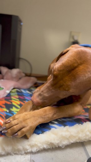 10K reactions · 64 shares | "If you're looking for a treat that will...