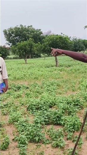 💐💐💐💐💐💐