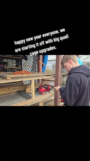 Upgrading Quail Cages for the New Year