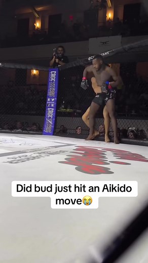 Aikido's First Real Knockout in MMA