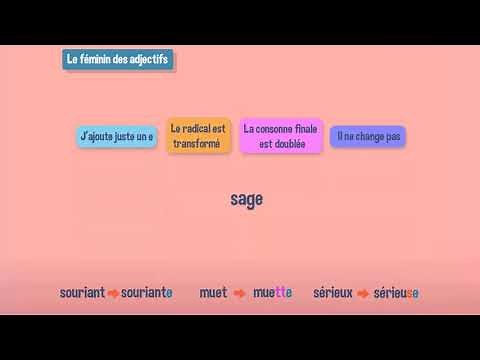 Le féminin des adjectifs