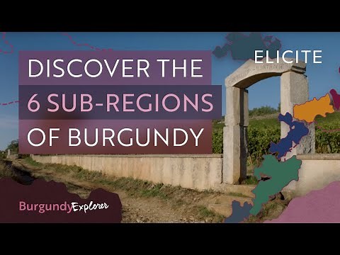 What Are The Wine Sub-Regions Of Burgundy?