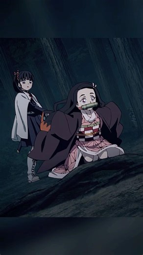 🦋⚔️ 【鬼滅の刃】柱同士の衝突！冨岡義勇 vs 胡蝶しのぶ、炭治郎と禰豆子を巡る緊迫の対峙！ | 逃走する禰豆子を追うカナヲ、そして下された衝撃の伝令とは！？ 😱🔥🏔️