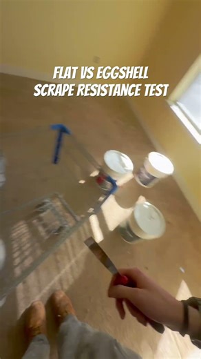 Flat VS EggShell Paint