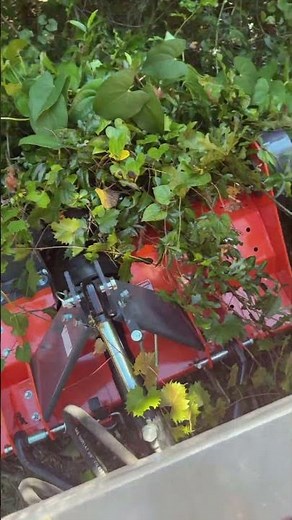 MechMaxx NAM60 flail mower