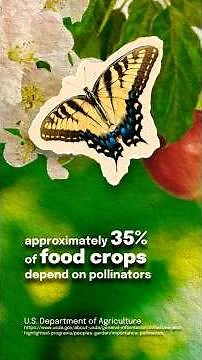 National Pollinator Week