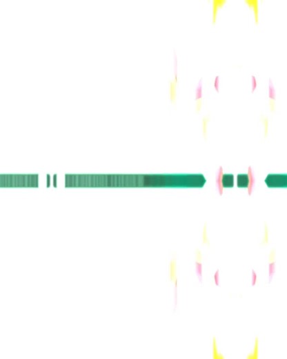 #plumeria #hawaii #agriculture #organic #ctahr #food #ctahrsoap #farming #sustainable #farm #insta #instabeauty #beautiful #amazing | Sustainable and Organic Program at CTAHR