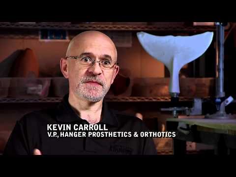 Dolphin Tale Trailer 2011 Official Movie Trailer 2 HD