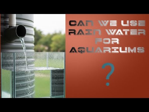 Can i use rain water for my aquariums