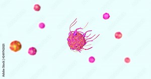 Immune Cell T-cell immune system concept immunotherapy treatment in cancer metastasis