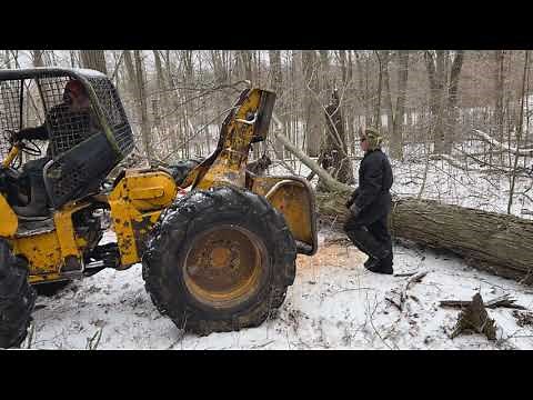 Winter Logging: Part 2 Big hung up maple and skidding out log from Part 1