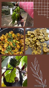 Chacha ke khet se aaye hue kache kele ki sabji ruby Devi ne shikhai n Maine Bansy pehli baar banana chips (recipe) #chstpati_shikha #facebook #recipe | Chatpati_shikha