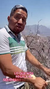 725K views · 10K reactions | Ya casi es temporada de Guamiche en...