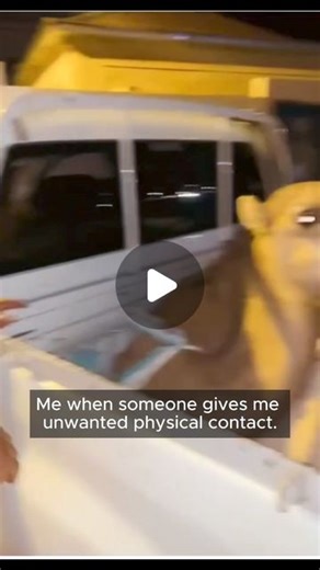 Daily dose of internet on Instagram