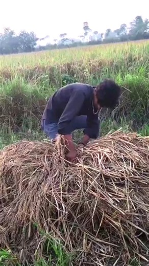 Here’s a catchy and versatile YouTube channel description for “dehati_johran” — it fits a creative, rural-yet-modern vibe, great for gaming, lifestyle, or entertainment content: --- 🎮 Welcome to dehati_johran! 🌾🔥 Where village vibes meet epic creativity! From gaming and challenges to funny moments and real desi energy — this channel is all about raw talent, entertainment, and rural swag. 💥 Expect: 🎮 Free Fire & BGMI gameplay 😂 Desi comedy & reactions 🎥 Real-life village content 💬 Pure en