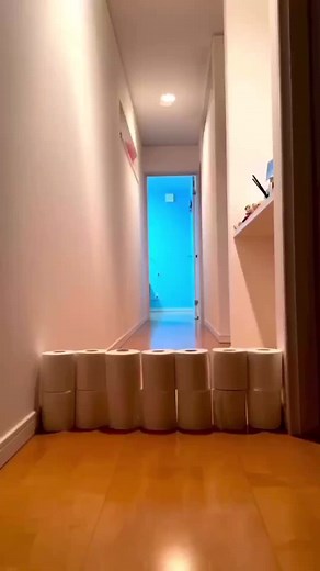 At least he tried lmao #pets #memes #funny #cats #fyp