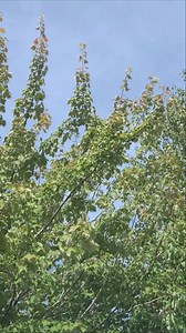 Welcome back, PCC! We’re celebrating a new school year with WOW (Weeks of Welcome)! Check out all the events at pcc.edu/student-life/week-of-welcome. 🎉 We’re so excited to have you here with us this year! | Portland Community College