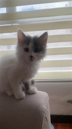 Videos de Isa 💜🌷 (@isabella.valencia80) con “sonido original - Ismenia Ramirez”