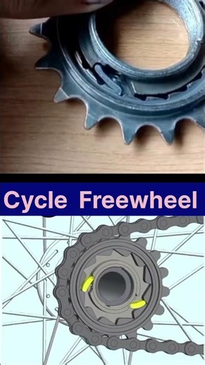 How a Bicycle Freewheel Actually Works! 🚲 #shorts #reels