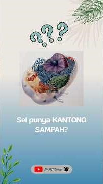 Lisosom & Mitophagy #biologi #lisosom #sains #autophagy #shorts #videoshort #viral #sel