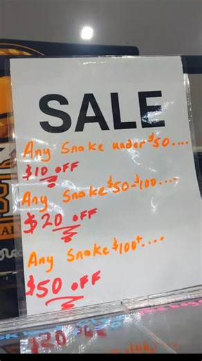 30 reactions · 4 comments | While other drop prices to levels that help nobody but themselves and destroy the market.... This is the best I can do....if that's not enough then you don't get a Bizzy Ball Python!!!...hate if ya want ..unfollow if ya feel the need!!..my balls don't sell for pennies on the dollar because the care I take of them cost too much!! ..#iaintslashingshit #keepingthembeforeilldumpthem | Dennis Buzek | Facebook