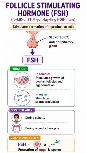 Follicle Stimulating Hormone (FSH) | Egg & Sperm Formation | Easy Biology 🧬 #thelifescienceeducator