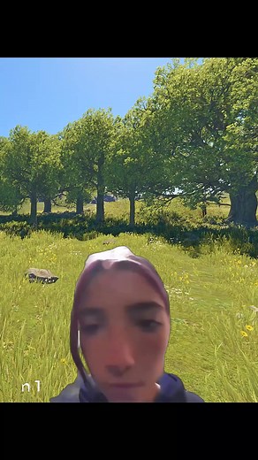 when your teammate puts codelocks without telling code #rust #playrust #meme #fyp