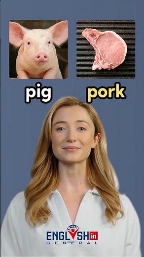 Animals and Their Meat Names in English