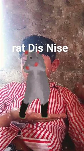 rat Dis tutorial
