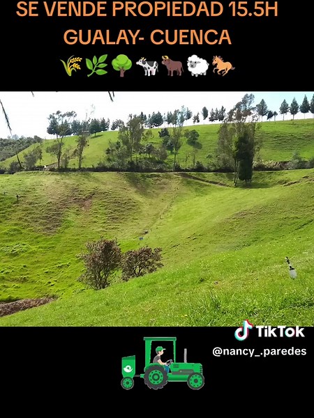Hacienda Ganadera y Agrícola en Venta en Gualay