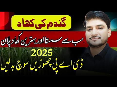 Wheat Fertilizer Plan | Wheat Production Technology 2025-26.