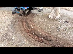 Bluebird bed edger