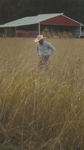 1M views · 38K reactions | Y’all! Set your reminders for the premiere of the “Dirt Cheap” official music video coming out on Friday. Stay tuned for the Afterparty on YouTube premium for an exclusive look behind the scenes. https://CodyJohnson.lnk.to/dirtcheap_video | Cody Johnson | Facebook