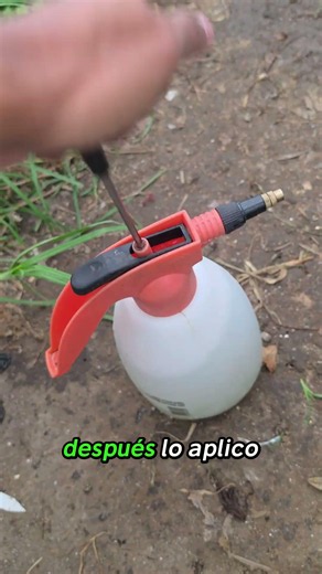You wouldn't believe what this soap can do against pests #plants #tips