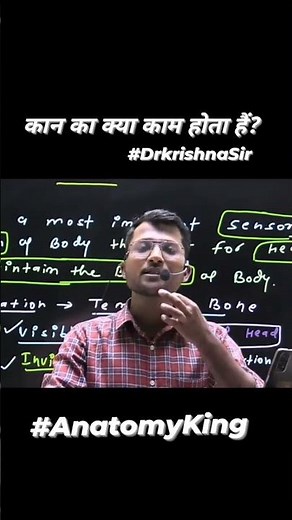 How To Work Ear | Ear Anatomy And Physiology | Ear Structure And Function