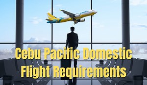 New Cebu Pacific Domestic Flight Requirements, Click Here