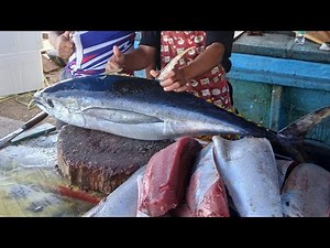 Great hands show how to cuttimg filllet a big size tuna with an amazing technique using machetes