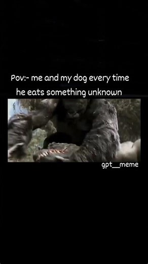 dog eats something unknown #meme #relatablememe