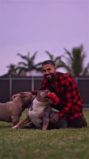 William Lulu on Instagram: "Love being a dog dad 🐶🐶"