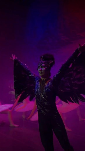 Swan Lake in Easton, PA | February 18 ✨