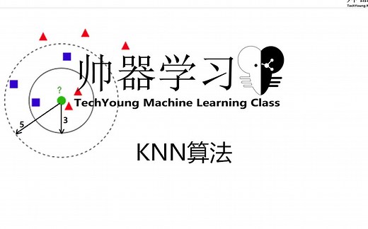 【帅器学习/林木】K最近邻算法（KNN）