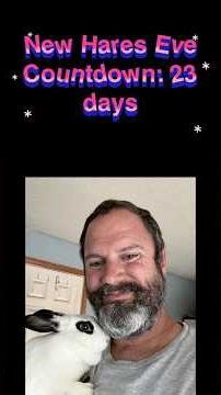 New worksharp sharpening tool review. Plus bunny countdown:23 days