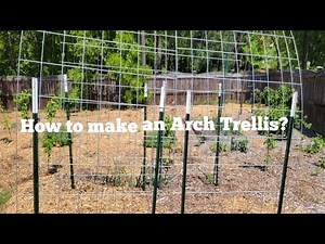 How to make an Arch Cattle Panel Trellis?