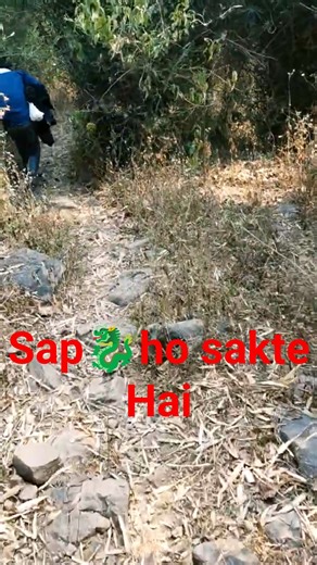 Lekin Snake ho sakte hai | explore the jungle | #viral #shorts #shortvideo