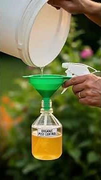 Les pucerons attaquent le jardin ? Voici une SOLUTION simple ! | Astuces du Jardinier