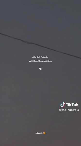 🤍. . . . . . #Honey #honey_qts #giha #viral #foryou